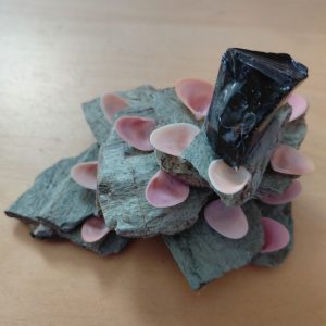 CRNI OPSIDIJAN - neobrađeni